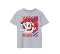 Paw Patrol Boys T-Shirt Gris | Conception des Personnages Marshall | Marchandise Authentique T-Shirt Confortable Et Élégant pour Les Garçons en Quête D’Aventure