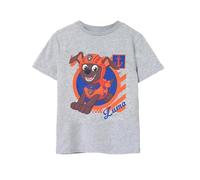 Paw Patrol Boys T-Shirt Gris | Zuma Aquatic Design | Marchandise Authentique T-Shirt Confortable Et Élégant pour Les Sauveteurs Aquatiques