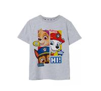 Paw Patrol Gris Peekaboo T-shirt à manches courtes Garçon