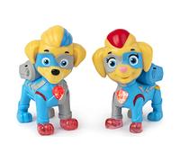 Paw Patrol, Mighty Pups Super Paws Lot de 2 Chiots Mighty Twins Qui s'illuminent pour Enfants à partir de 3 Ans et Plus, 6054565