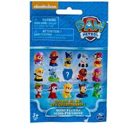 Paw Patrol Mystery Blind Bag Mini Figure