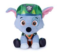 Paw Patrol Rocky Movie 3
