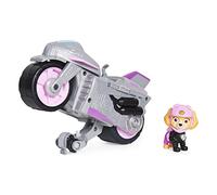 Paw Patrol Skye + Motor
