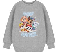 Paw Patrol - Sweat-shirt pour enfants NS8632 (98) (Gris)