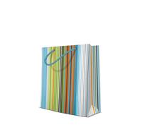 PAW Sacs Cadeaux Moyen, 10 pièces - Allegro Vert | Anses en tissu solide, motif élégant, parfaits pour anniversaire, mariage et fêtes, réutilisables et spacieux