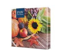 PAW - Serviettes 3 plis (33 x 33 cm) I 20 pièces I Parfaites pour les anniversaires, les fêtes, les réunions I Décoration de table d'automne I Serviettes en papier colorées I Autumn Treasures