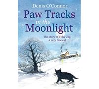 Paw Tracks in the Moonlight