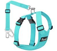 Pawaboo Harnais de Sécurité pour Chien, Ceinture de Sécurité Robuste et Durable pour Chien en Voiture, Voyage, Promenade etc, Convient au Poids de Chien Entre 55 LB - 88 LB, Bleu