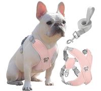 Pawaboo Harnais pour Chiens avec Laisse, Ceinture de Sécurité d'animaux Réglable, Harnais Sécurisé Anti-Traction en Forme de X, Veste pour Chiens de Petite & Moyenne Taille, L, Rose