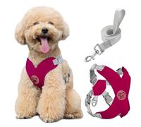 Pawaboo Harnais pour Chiens avec Laisse, Harnais Sécurisé Anti-Traction en Forme de X, Veste pour Chiens de Petite & Moyenne Taille, Ceinture de Sécurité d'animaux Réglable, M, Magenta