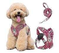 Pawaboo Harnais pour Chiens avec Laisse, Harnais Sécurisé Anti-Traction en Forme de X, Veste pour Chiens de Petite & Moyenne Taille, Ceinture de Sécurité d'animaux Réglable, M, Léopard Magenta