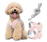 Pawaboo Harnais pour Chiens avec Laisse, Harnais Sécurisé Anti-Traction en Forme de X, Veste pour Chiens de Petite & Moyenne Taille, Ceinture de Sécurité d'animaux Réglable, M, Marguerite Rose