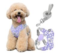Pawaboo Harnais pour Chiens avec Laisse, Harnais Sécurisé Anti-Traction en Forme de X, Veste pour Chiens de Petite & Moyenne Taille, Ceinture de Sécurité d'animaux Réglable, M, Marguerite Violette