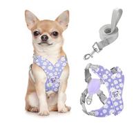 Pawaboo Harnais pour Chiens avec Laisse, Harnais Sécurisé Anti-Traction en Forme de X, Veste pour Chiens de Petite & Moyenne Taille, Ceinture de Sécurité d'animaux Réglable, S, Marguerite Violette