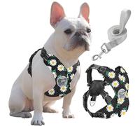 Pawaboo Harnais pour Chiens avec Laisse, Harnais Sécurisé Anti-Traction en Forme de X, Veste pour Chiens de Petite & Moyenne Taille, Ceinture de Sécurité d'animaux Réglable, L, Marguerite Noire