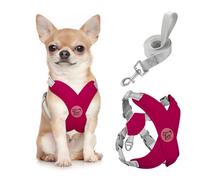 Pawaboo Harnais pour Chiens avec Laisse, Harnais Sécurisé Anti-Traction en Forme de X, Veste pour Chiens de Petite & Moyenne Taille, Ceinture de Sécurité d'animaux Réglable, S, Magenta