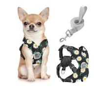 Pawaboo Harnais pour Chiens avec Laisse, Harnais Sécurisé Anti-Traction en Forme de X, Veste pour Chiens de Petite & Moyenne Taille, Ceinture de Sécurité d'animaux Réglable, S, Marguerite Noire