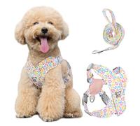 Pawaboo Harnais pour Chiens avec Laisse, Harnais Sécurisé Anti-Traction en Forme de X, Veste pour Chiens de Petite & Moyenne Taille, Ceinture de Sécurité d'animaux Réglable, M, Léopard Coloré