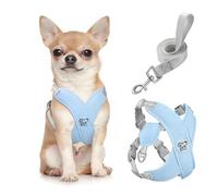 Pawaboo Harnais pour Chiens avec Laisse, Harnais Sécurisé Anti-Traction en Forme de X, Veste pour Chiens de Petite & Moyenne Taille, Ceinture de Sécurité d'animaux Réglable pour Promenade, S - Bleu