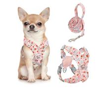 Pawaboo Harnais pour Chiens avec Laisse, Harnais Sécurisé Anti-Traction en Forme de X, Veste pour Chiens de Petite & Moyenne Taille, Ceinture de Sécurité d'animaux Réglable, S, Fleurs Roses