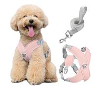 Pawaboo Harnais pour Chiens avec Laisse, Harnais Sécurisé Anti-Traction en Forme de X, Veste pour Chiens de Petite & Moyenne Taille, Ceinture de Sécurité d'animaux Réglable pour Promenade, M - Rose