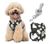 Pawaboo Harnais pour Chiens avec Laisse, Harnais Sécurisé Anti-Traction en Forme de X, Veste pour Chiens de Petite & Moyenne Taille, Ceinture de Sécurité d'animaux Réglable, M, Marguerite Noire