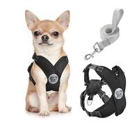 Pawaboo Harnais pour Chiens avec Laisse, Harnais Sécurisé Anti-Traction en Forme de X, Veste pour Chiens de Petite & Moyenne Taille, Ceinture de Sécurité d'animaux Réglable pour Promenade, S - Noir