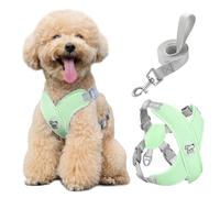 Pawaboo Harnais pour Chiens avec Laisse, Harnais Sécurisé Anti-Traction en Forme de X, Veste pour Chiens de Petite & Moyenne Taille, Ceinture de Sécurité d'animaux Réglable, M, Menthe Verte