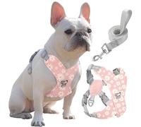 Pawaboo Harnais pour Chiens avec Laisse, Harnais Sécurisé Anti-Traction en Forme de X, Veste pour Chiens de Petite & Moyenne Taille, Ceinture de Sécurité d'animaux Réglable, L, Marguerite Rose