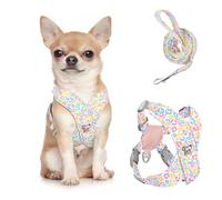 Pawaboo Harnais pour Chiens avec Laisse, Harnais Sécurisé Anti-Traction en Forme de X, Veste pour Chiens de Petite & Moyenne Taille, Ceinture de Sécurité d'animaux Réglable, S, Léopard Coloré