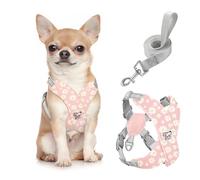 Pawaboo Harnais pour Chiens avec Laisse, Harnais Sécurisé Anti-Traction en Forme de X, Veste pour Chiens de Petite & Moyenne Taille, Ceinture de Sécurité d'animaux Réglable, S, Marguerite Rose