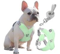 Pawaboo Harnais pour Chiens avec Laisse, Harnais Sécurisé Anti-Traction en Forme de X, Veste pour Chiens de Petite & Moyenne Taille, Ceinture de Sécurité d'animaux Réglable, L, Menthe Verte