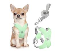 Pawaboo Harnais pour Chiens avec Laisse, Harnais Sécurisé Anti-Traction en Forme de X, Veste pour Chiens de Petite & Moyenne Taille, Ceinture de Sécurité d'animaux Réglable, S, Menthe Verte