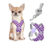 Pawaboo Harnais pour Chiens avec Laisse, Harnais Sécurisé Anti-Traction en Forme de X, Veste pour Chiens de Petite & Moyenne Taille, Ceinture de Sécurité d'animaux Réglable, S, Violet Plaid