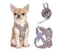 Pawaboo Harnais pour Chiens avec Laisse, Harnais Sécurisé Anti-Traction en Forme de X, Veste pour Chiens de Petite & Moyenne Taille, Ceinture de Sécurité d'animaux Réglable, S, Léopard Rose
