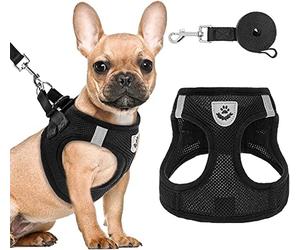 PAWCHIE Ensemble Harnais et Laisse pour Chiot - Harnais en Maille Souple pour Chien, réfléchissant et réglable pour Chiens de Petite et Moyenne Taille, Chats et Chiots