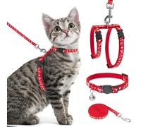 PAWCHIE Harnais pour Chat avec Laisse et Collier - Harnais réglable Anti-Fugue Qui Brille dans Le Noir pour Promenade en Plein air