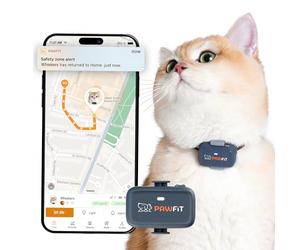 Pawfit Tracker GPS Lite for Cats 4G | Suivi en temps réel | Suivi des activités | Historique de localisation | Portée illimitée | Collier de sécurité inclus | Gris anthracite