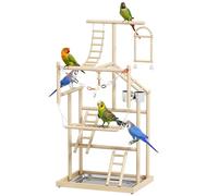 PawHut Aire de Jeux pour Oiseaux, échelles, pour Perroquet, 48 x 38 x 95 cm | Jeu pour Perroquet, Jouet à Chaîne, Plateau, Mangeoire, Balançoire, Pour Perruches, Inséparables, Pinsons, Calopsittes