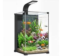 PawHut Aquarium en Verre Trempé 36L Complet - Nano Aquarium avec Filtre Intégré, Pompe 5W et Éclairage LED - Kit Aquarium Débutant pour Poissons et Plantes 30x30x45cm, Noir