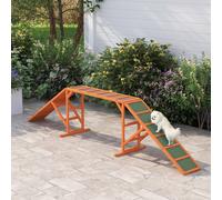PawHut Rampe d'agilité pour chiens, Parcours, antidérapante, résistante aux intempéries, en bois, 325 x 55 x 69 cm, Orange