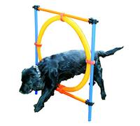 PAWISE 11433 Anneau de Saut pour Chien
