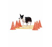 Pawise - Agility Training Set 30cm - (636.9010)
