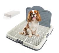 Pawise Lot de 4 supports muraux pour tapis d'entraînement, plateau d'entraînement en maille pour un nettoyage facile, 60 cm x 60 cm + tapis pipi
