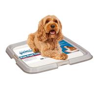 Pawise Support de propreté pour chiot – Dressage intérieur – L 61 x 61 cm
