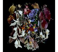 Paws – Your Church On My Bonfire – Album Vinyle 12" – Membran