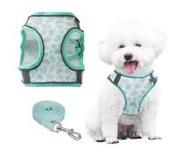 PawSailor Harnais Chien Step-in Anti-Traction Harnais de Chien Moyenne avec Laisse, Réglable, Respirant Mesh, Réfléchissant la Nuit avec Imprimé Floral, Harnais de Gilet Rembourré Doux, Vert L