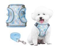 PawSailor Harnais Chien Step-in Anti-Traction Harnais de Chien Moyenne avec Laisse, Réglable, Respirant Mesh, Réfléchissant la Nuit avec Imprimé Floral, Harnais de Gilet Rembourré Doux, Bleu L