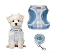 Pawsailor Harnais Petit Chien avec Laisse Step-in Harnais Chiot Bleu M | Anti-Traction Doux Maille, à Carreaux, Réfléchissant, Boucle de Sécurité, Rembourrage Harnais pour Petits et Moyens Chiens