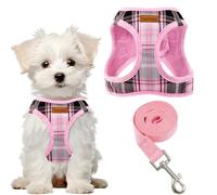 Pawsailor Harnais Petit Chien avec Laisse Step-in Harnais Chiot Rose XS | Anti-Traction Doux Maille, à Carreaux, Réfléchissant, Boucle de Sécurité, Rembourrage Harnais pour Chiot, Chats, Chihuahuas